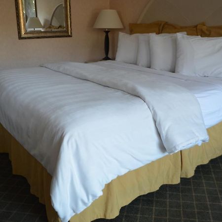 Chapel Hill University Inn Esterno foto