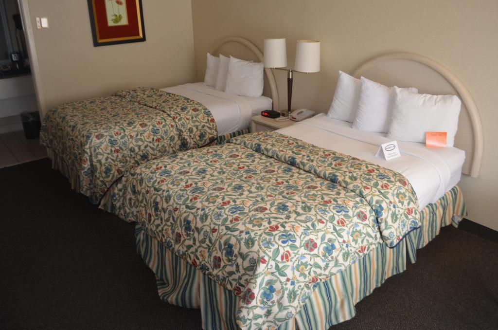 Chapel Hill University Inn Esterno foto