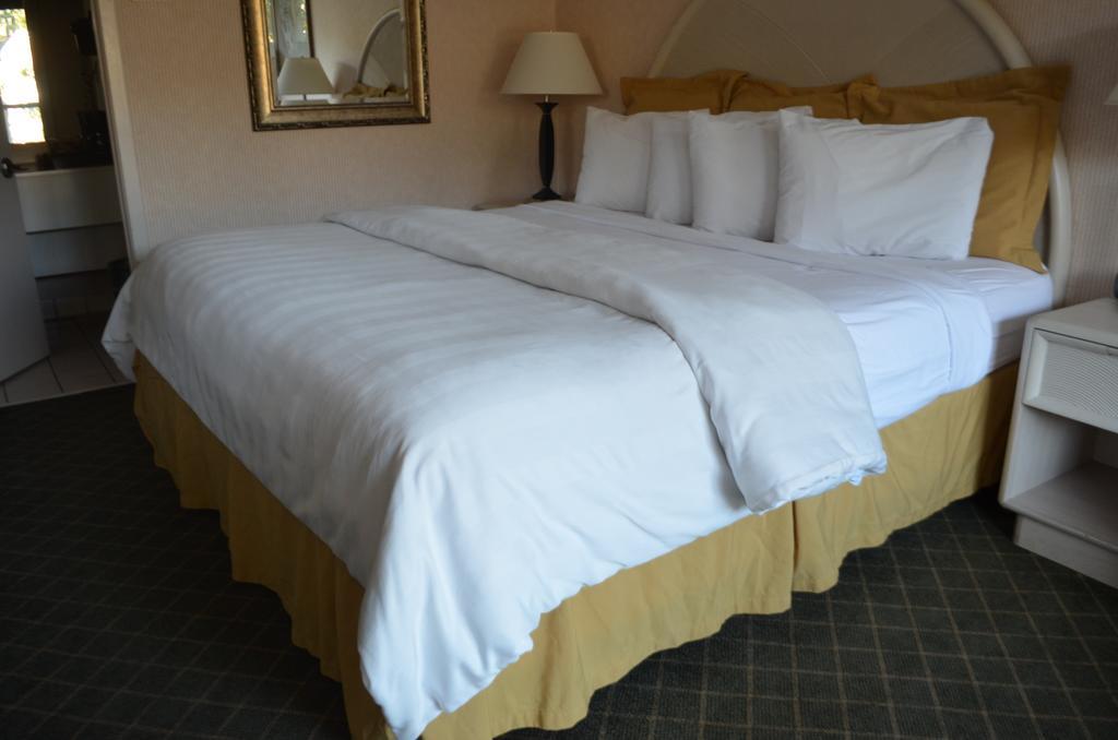 Chapel Hill University Inn Esterno foto