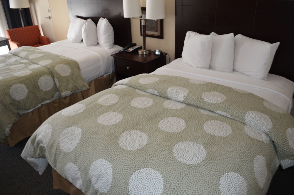 Chapel Hill University Inn Esterno foto