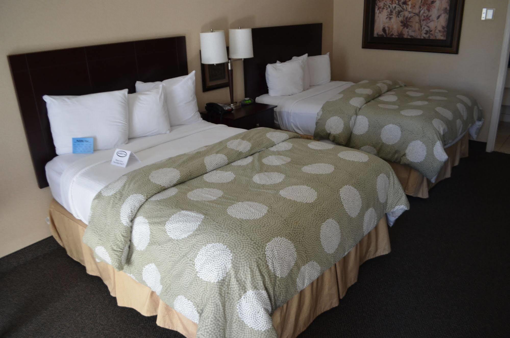 Chapel Hill University Inn Esterno foto