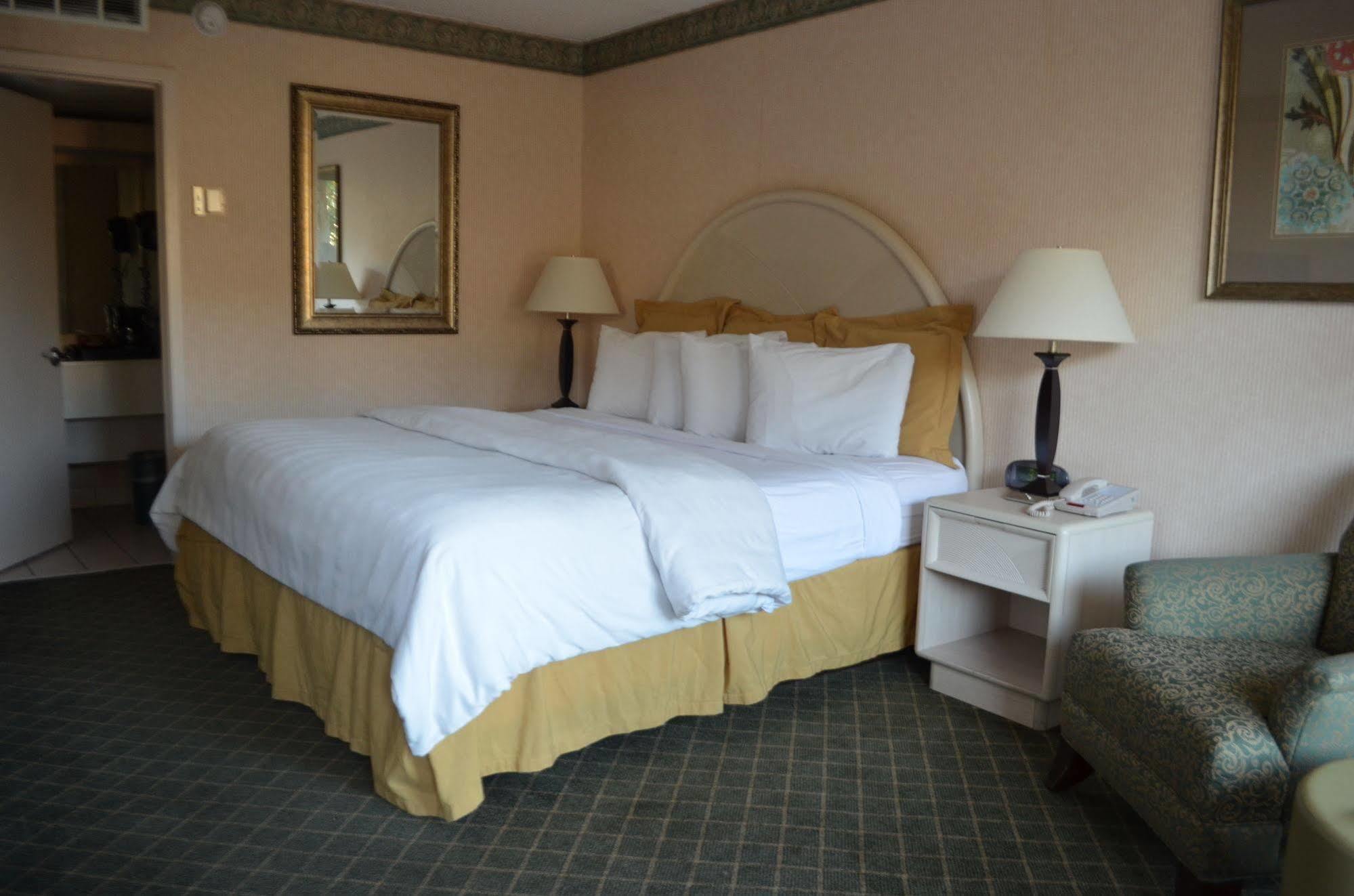 Chapel Hill University Inn Esterno foto