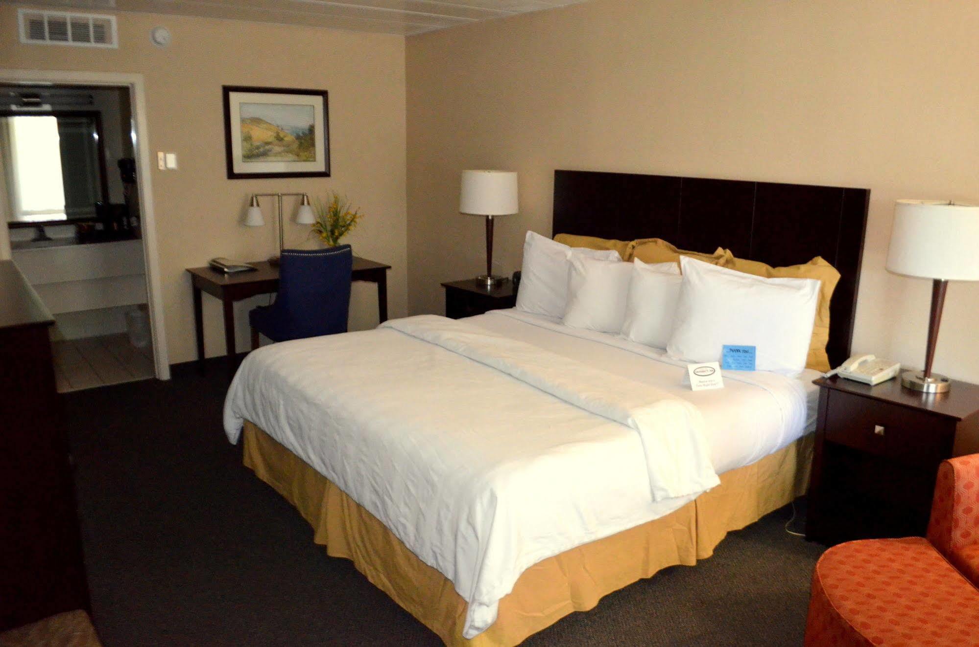 Chapel Hill University Inn Esterno foto
